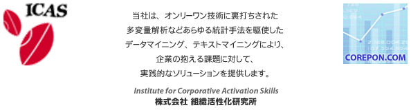 ICAS�C���[�W